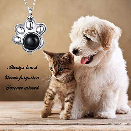 925 Sterling Silver Pet Urn Necklace Keepsake Ashes Cremation Memorial Jewelry with Cubic Zirconia - onlyone